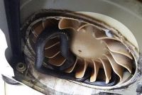 Máy sấy quần áo hỏng, người đàn ông “sốc toàn tập” khi nhìn thấy thứ bên trong